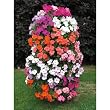 Flower Tower