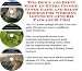 Book The Down and Dirty Make An Extra Income, Inner Game and Sales Models for Wedding Gowns On-line Biz Package (3 CDs)