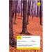 Teach Yourself Romanian (TY Complete Courses)