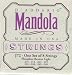 Search: D'Addario Mandola Phosphor Bronze Bluegrass, J72