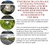 The Rich Man's Make An Extra Income, Inner Game and Biz Networking for Health And Fitness Tips On-line Businesses 3 CD Course