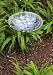 Hydrangea Glass Birdbath