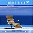 Ambient Lounge, Vol. 8