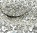 Silver Fusion Multigrain Glitter - 1 oz Jar