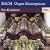 Organ Masterpieces 2CDs