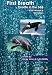 First Breath Harbor Seals and Gray Whales