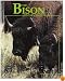 The Bison and the Great Plains (Animals and Their Ecosystems Series)