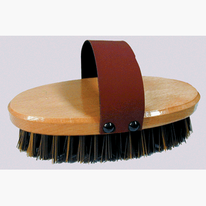 Cover image : The Nifty Brush