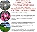 The Guerilla Marketing, Building Effective Lead Capture Web Pages, Affiliate Marketing for Vitamin C Capsules Businesses