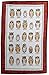 Ulster Weavers Owls Arrived Linen Tea Towel