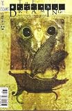 The Dreaming #25