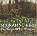 Migrating Bird - The Songs Of Lal Waterson