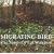 Migrating Bird-the Songs of Lal Waterson