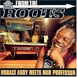From the Roots: Horace Andy Meets Mad Professor