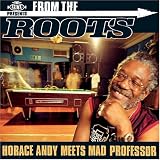 From the Roots: Horace Andy Meets Mad Professor