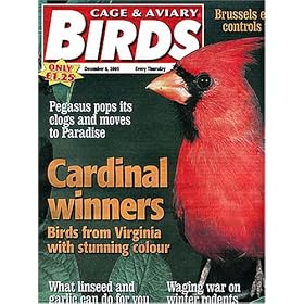 Click here to buy Cage and Aviary Birds.