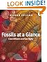 Fossils at a Glance