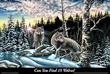 Can You Find 15 Wolves?,36 in. x 24 in.