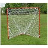 Brine In the Crease Backyard Lacrosse Goal