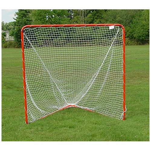 Brine In the Crease Backyard Lacrosse Goal