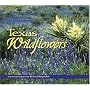 Texas Wildflowers