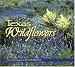 Texas Wildflowers