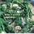 Williams-Sonoma New Flavors for Vegetables: Classic Recipes Redefined (NEW FLAVORS FOR SERIES)