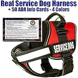barkOutfitters Service Dog Vest Harness + 50 FREE ADA Info Cards Kit (Red, M, 22"-29" Girth)