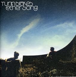 Turin Brakes Picture 5