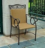 Valencia Resin Wicker / Steel Set of 2 Chairs (Matte Brown) (39"H x 23"W x  ....