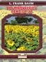 The Marvelous Land of Oz: Being an account of the further adventures of Scarecrow and Tim Woodman and also the strange experiences of the Highly Magnified Woggle bug, Jack Pump