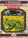 The Marvelous Land of Oz: Being an account of the further adventures of Scarecrow and Tin Woodman and also the strange experiences of the Highly Magnified Woggle bug, Jack Pump (Hardcover)