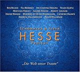 Hesse-Projekt - Sch�nherz+Fleer