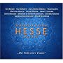 Hesse-Projekt