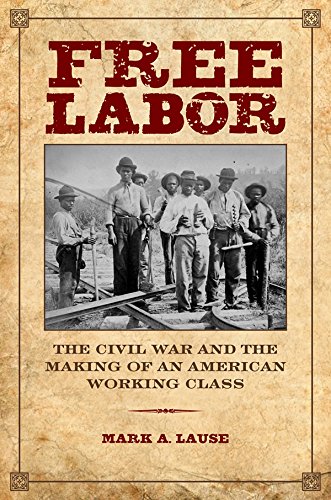 Free Labor: The Civil War and the Making of an American Working Class (The Working Class in American History)