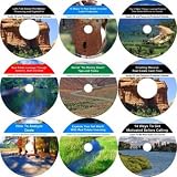 The Foremost Nine CD No Down Payment, Cash Creating, Real Estate Mentoring System