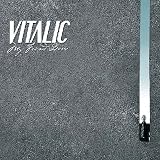 Revue Vitalic  / My Friend Dario