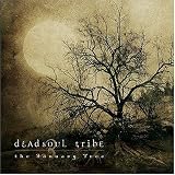 The January Tree an album by Dead Soul Tribe