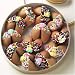Gourmet Food : DOSE OF GOOD FORTUNES: A Dozen Dark and White Chocolate Hand-Dipped Fortune Cookies Decorated for Easter & Nestled in a Gold Container