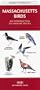 Massachusetts Birds: An Introduction to Familiar Species