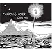 Carbon Glacier