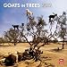 Goats In Trees 2012 Square 12X12 Wall Calendar (Multilingual Edition)