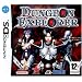 Dungeon Explorer (Nintendo DS)