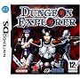 Dungeon Explorer (Nintendo DS)
