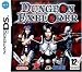 Dungeon Explorer (Nintendo DS)