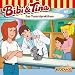 Bibi & Tina, Folge 67: Das Tierarztpraktikum