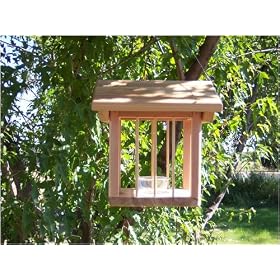 Nova Bird Oriole Jelly Feeder by Nova Bird