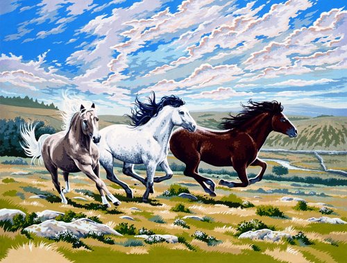 Pferde im Galopp - Malen nach Zahlen
