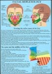 Facial Reflexology