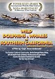 Search : Wild Dolphins & Whales of Southern California